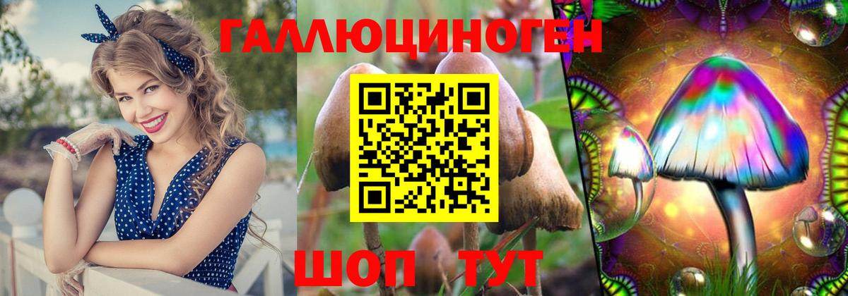 Майкоп  Галлюциногенные грибы мицелий  Псилоцибиновые грибы мухоморы  Вход с VPN 